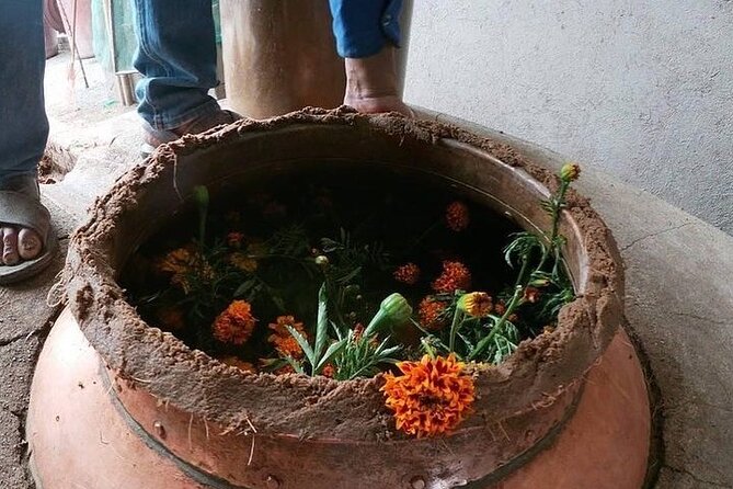 Mezcal Tour Oaxaca - Price and value: is $102 for 5 hours worth it?