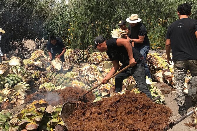 Mezcal Tour Oaxaca - Working distillery visits in Santiago Matatlán and Tlacolula: what you’re really seeing