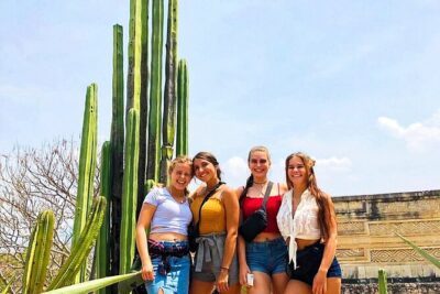 Mitla Half Day Guided Tour - Santa María del Tule: The World’s Widest Tree (and an Optional Ticket)