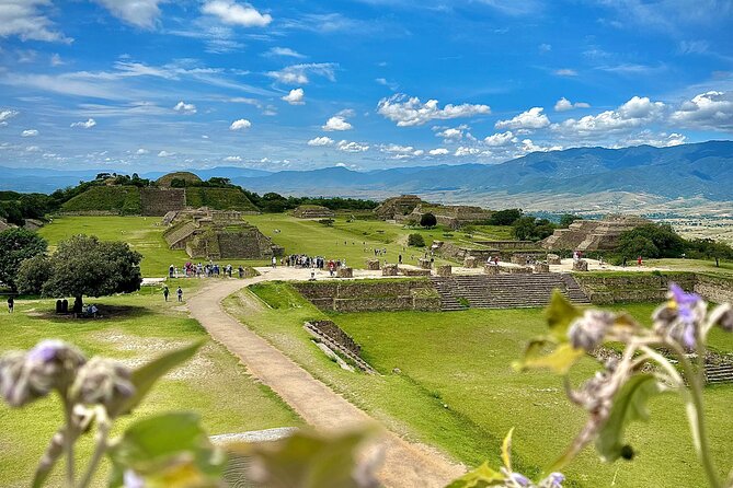 Monte Alban Chesillo and handicrafts alebrijes and black mud - Price and value: what $328.38 really buys you