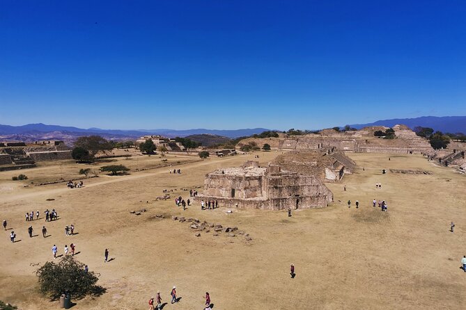 Monte Alban - Full Day Guided Tour with or without Food - Oaxaca - San Martín Tilcajete alebrijes: wooden carving and how style evolves