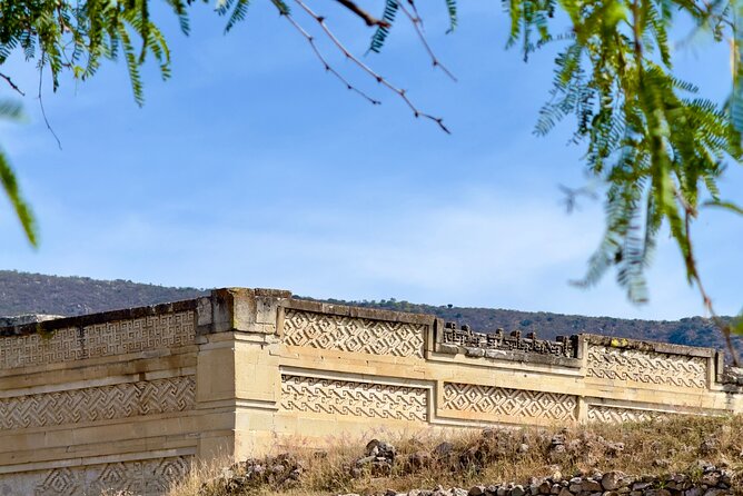 Monte Alban, Mezcal, Tule Tree and Wool Mats Tour - What you’re paying for: a private day without the transport headache