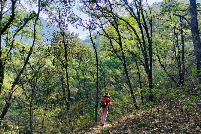 Mountain Hike & Rituals - Key Points Worth Knowing