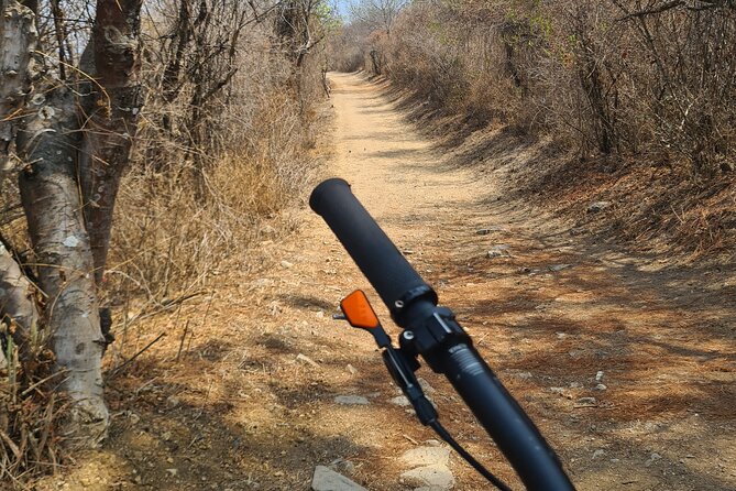 MTB Bike Tour: Local Trails in Monte Albán and Atzompa - The descent game: terraced ecological paths with intermediate-to-advanced sections