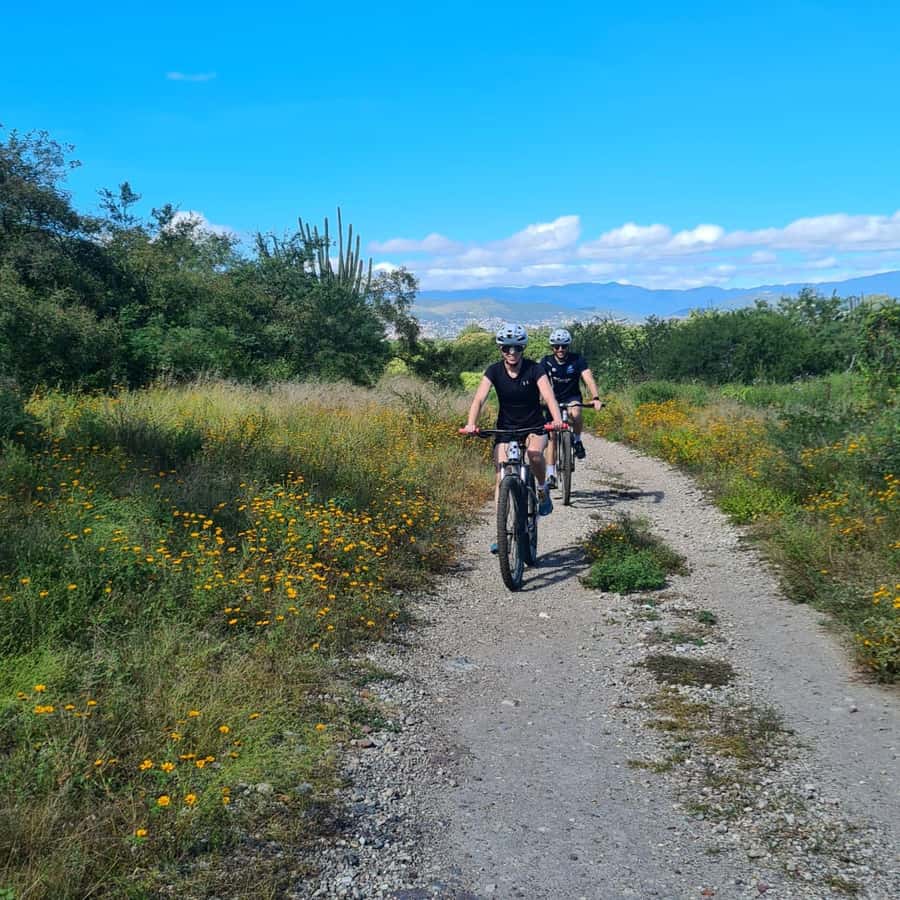 MTB Bike Tour: Tule Tree through the country-side - Climbing to the viewpoint over the Central Valleys
