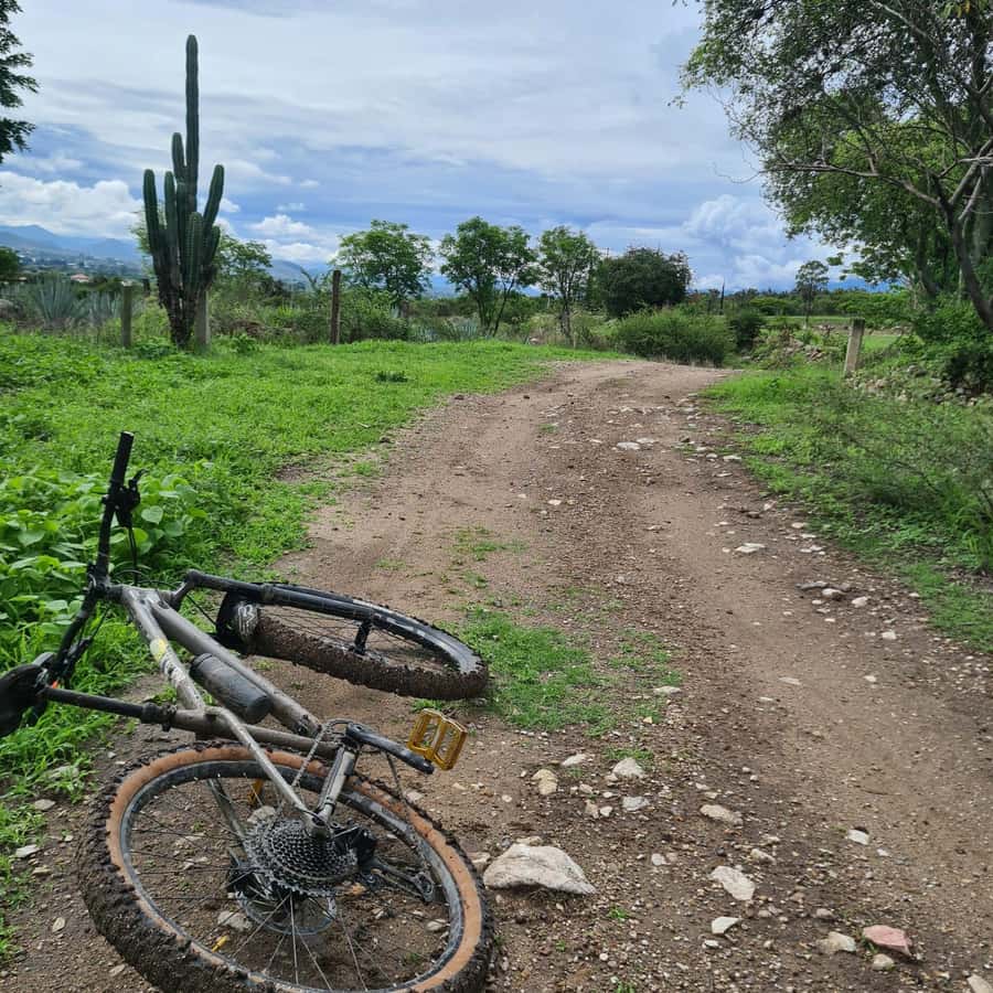 MTB Bike Tour: Tule Tree through the country-side - Arriving in Santa María del Tule: parking the bikes, switching to sightseeing mode