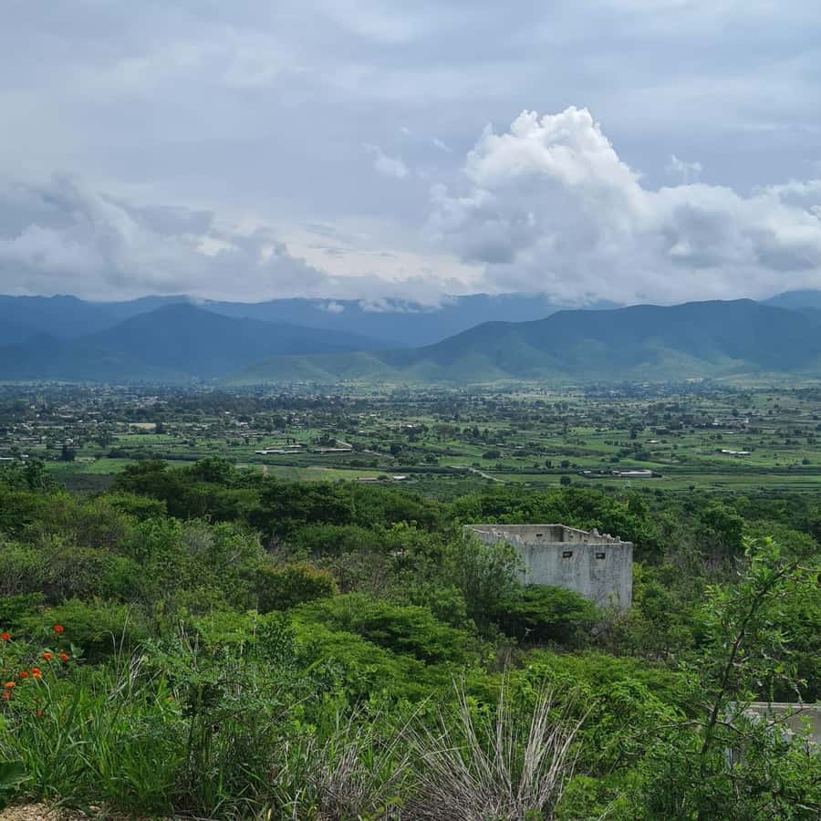 MTB Bike Tour: Tule Tree through the country-side - Who this tour is perfect for (and who should skip it)