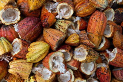 Oaxaca: Chocolate and Ancestral Drinks Tour - Walking Into the Chimalapa Cacao Workshop in Oaxaca