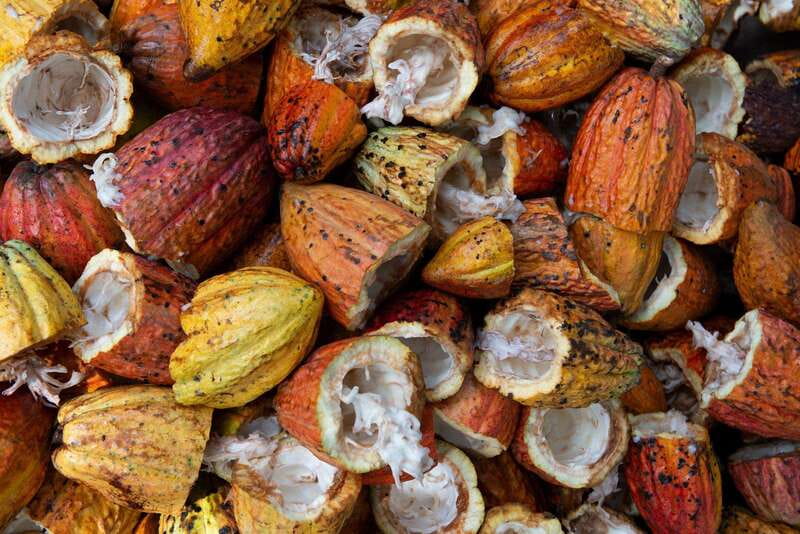 Oaxaca: Chocolate and Ancestral Drinks Tour - Walking Into the Chimalapa Cacao Workshop in Oaxaca