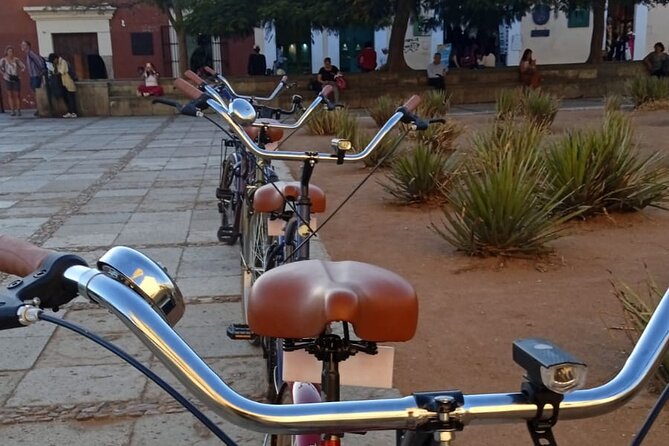 Oaxaca City Bicycle Tour Explore Iconic Barrios - Who this Oaxaca bicycle tour is for (and who should skip it)