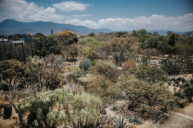 Oaxaca City Walking Tour - Markets, Textile museum & Lunch - How the guide helps you shop without getting lost
