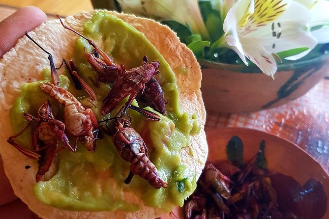 Oaxaca Conmigo Private Tours - Artisan Villages You Can Watch in Motion: Woodcarving, Weaving, Pottery, Loom Textiles, Candles