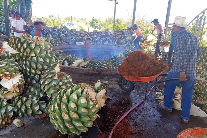 Oaxaca Conmigo Private Tours - Mezcal in Clay Pots and Market Days That Feel Like Oaxaca Life
