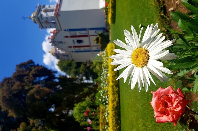 Oaxaca Conmigo Private Tours - Price and Value: What You’re Really Paying For