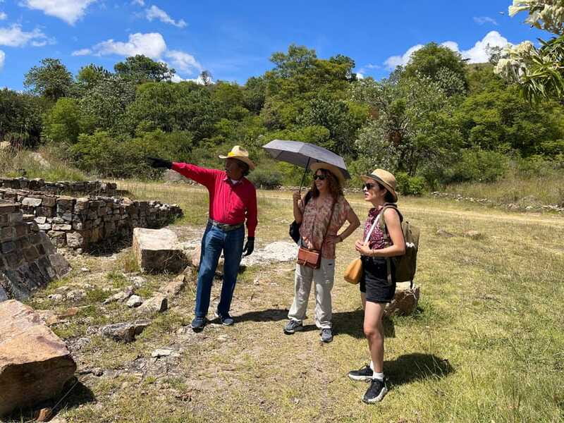 Oaxaca de Juarez: Monte Alban Half-Day Tour - Who should book this Monte Albán half-day tour