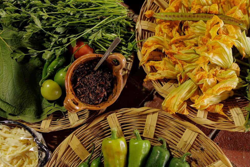 Oaxaca de Juarez: Traditional Oaxacan Cooking Class - Getting to the cooking day: Santo Domingo pick-up and mountain air