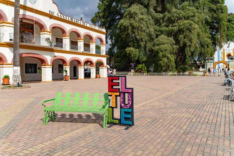 Oaxaca: El Tule tree, Teotitlan Village & Mezcal Tour - Key Highlights You’ll Actually Remember