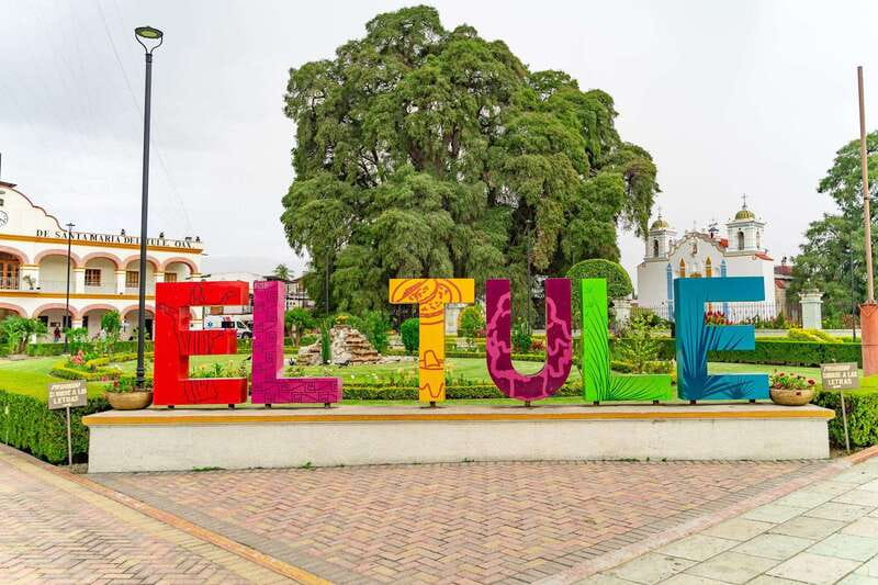 Oaxaca: El Tule tree, Teotitlan Village & Mezcal Tour - The Mezcal Palenque Finish: Tasting Styles, Aging, and Cream