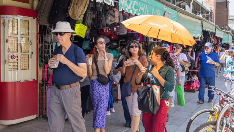 Oaxaca: Food and Markets Tour - Grasshoppers and Other Adventures You Can Actually Handle