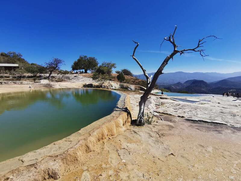 Oaxaca: Full Day Guided Tour on the Hierve el Agua Route - Mezcal tasting: sample the spirit and learn the production story
