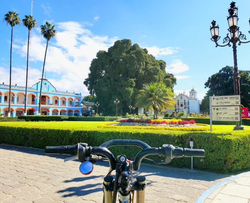 Oaxaca: Guided Bike Tour to the Largest Tree in the World - Mercado El Tule: where you’ll actually enjoy the day