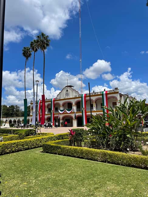 Oaxaca: Guided Bike Tour to the Largest Tree in the World - Bike tour logistics: small group comfort and safety that matters