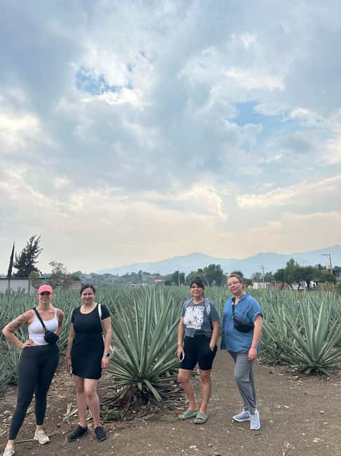 Oaxaca: Hierve el Agua & Mezcal Distillery Small-Group Tour - Hierve el Agua: two hours for pools, viewpoints, and careful footing
