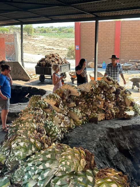 Oaxaca: Hierve el Agua & Mezcal Distillery Small-Group Tour - Bottomless mezcal tasting: fun, yes, but pace it