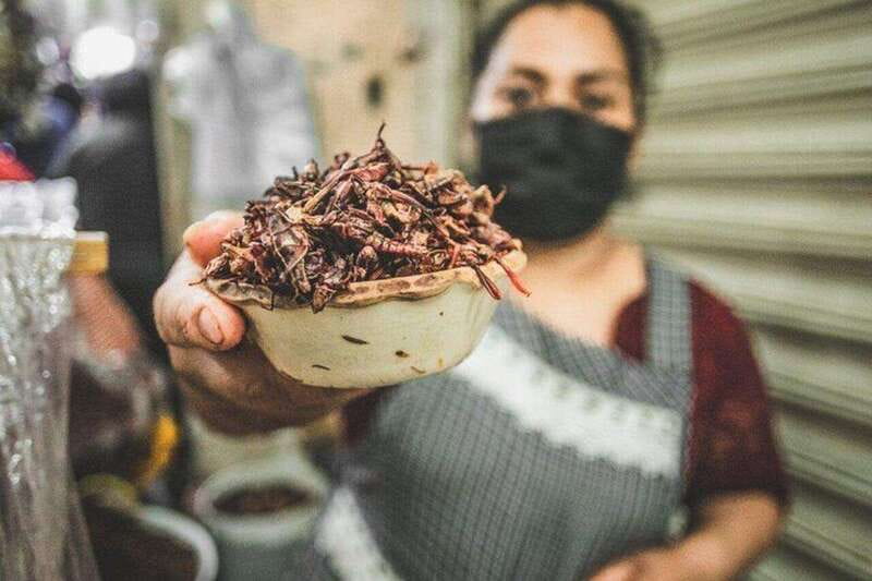 Oaxaca Markets Food Tour - Mercado Benito Juárez Finish: Your Final Tasting and Local Shopping Time