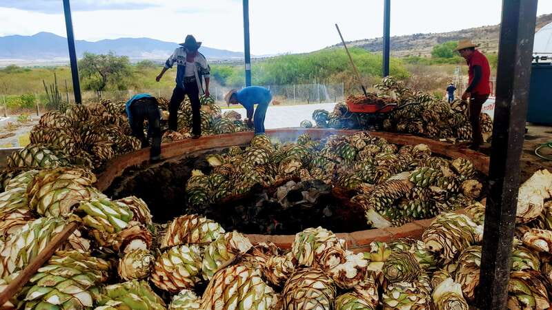 Oaxaca: Mezcal Adventure - Tlacolula Valley to Santiago Matatlán: the ride that sets the right mood