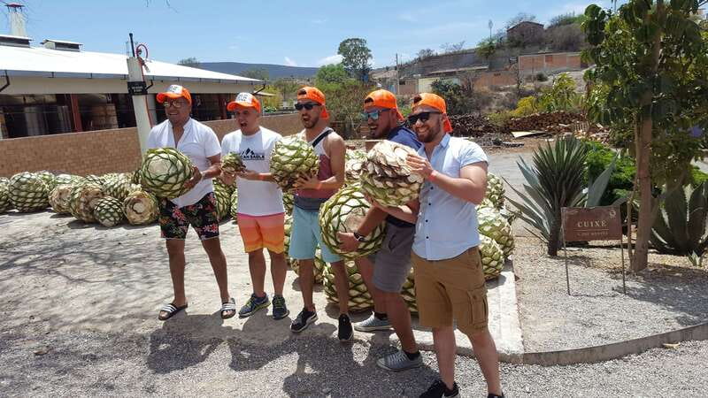 Oaxaca: Mezcal Adventure - Two distillery stops: comparing tradition with artisanal sophistication