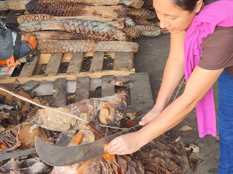 Oaxaca: Mezcal Adventure - Price and value: is $113 for 7 hours a good deal?