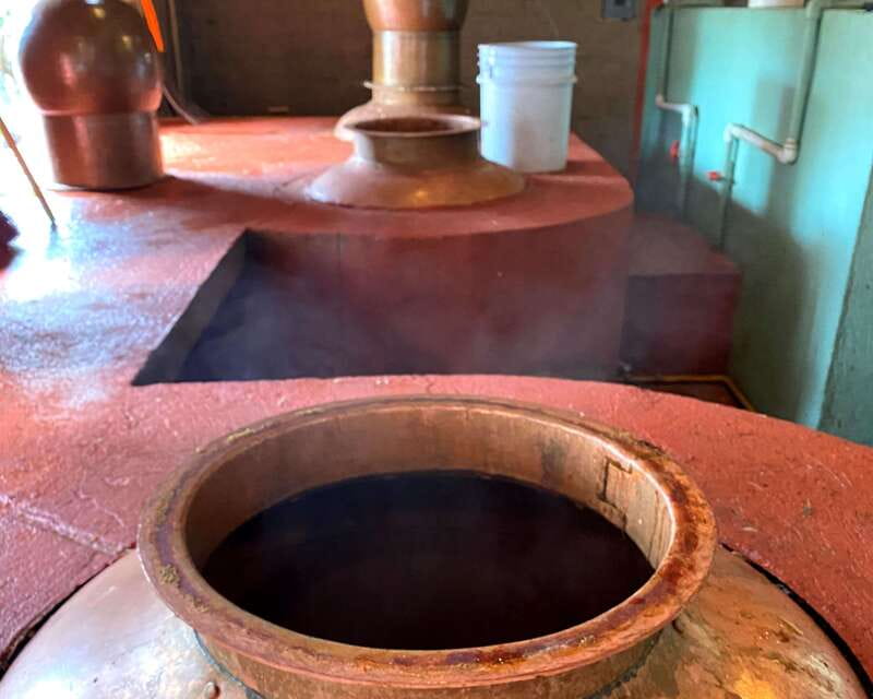 Oaxaca: Mezcal Adventure - Who this mezcal adventure is best for (and who should skip it)