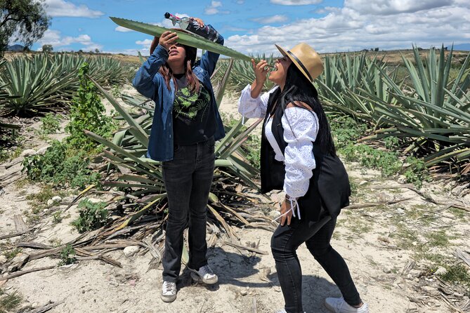 Oaxaca Mezcal & Pulque Tour by Barrel Bus - Stop 3: Santiago Matatlán pulquería stop and pulque tasting