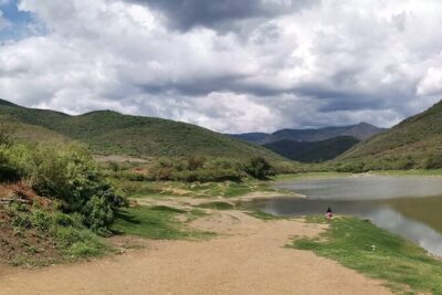 Oaxaca to Tule Tree Bike Tour - 6 hours - At a glance: time, distance, and the fitness reality