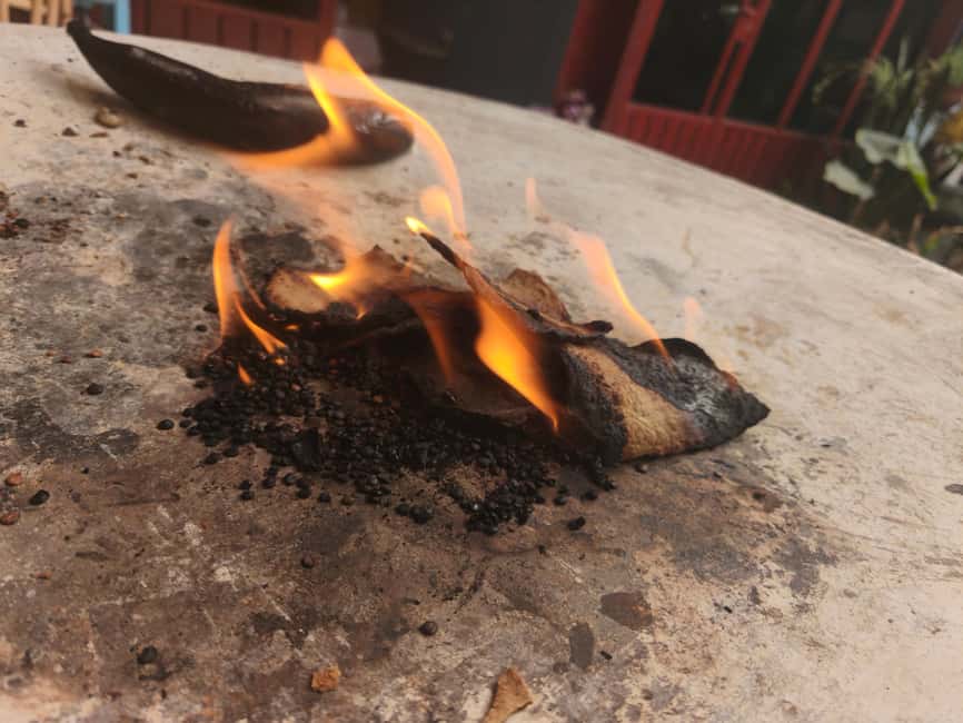 Oaxaca: Traditional Oaxacan Cooking Class - Who This Cooking Class Is Best For