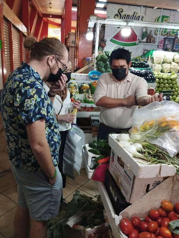 Oaxaca: Traditional Oaxacan Food Cooking Class - Cooking with Tita and the Mixe family recipe approach