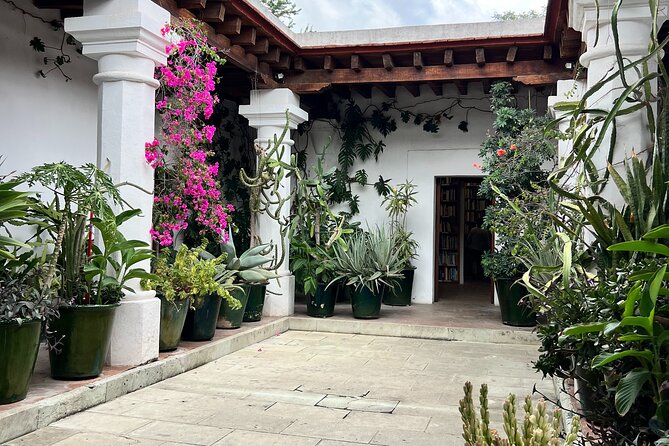 Oaxaca Walking Tour - Oaxaca City by Foot: why this 2-hour route works