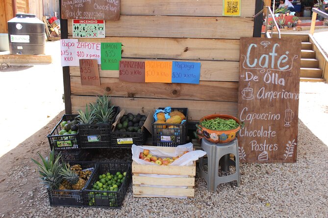 Oaxacan Cheese and Quesillo Workshop - Price and Value for a 3.5-Hour Workshop
