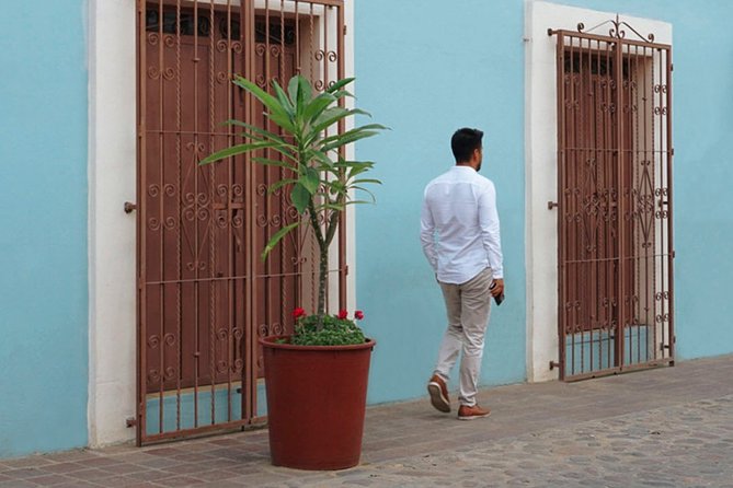 Private Oaxaca Walking Tour with Mezcal Tasting - Price and what makes it feel worth $398