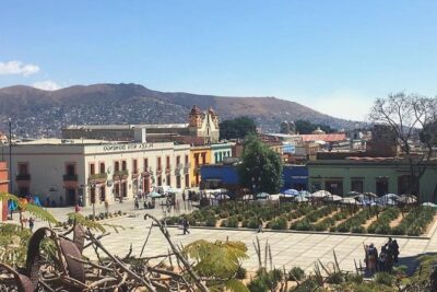 Private Oaxaca Walking Tour with Mezcal Tasting - Getting your bearings in Oaxaca Centro