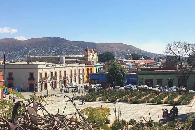 Private Oaxaca Walking Tour with Mezcal Tasting - Getting your bearings in Oaxaca Centro