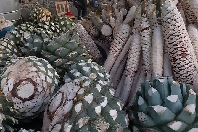 Private tour Mitla, Weavers town, Mezcal and Boil the water - Teotitlan del Valle: weaving with natural dyes (the part you’ll remember)