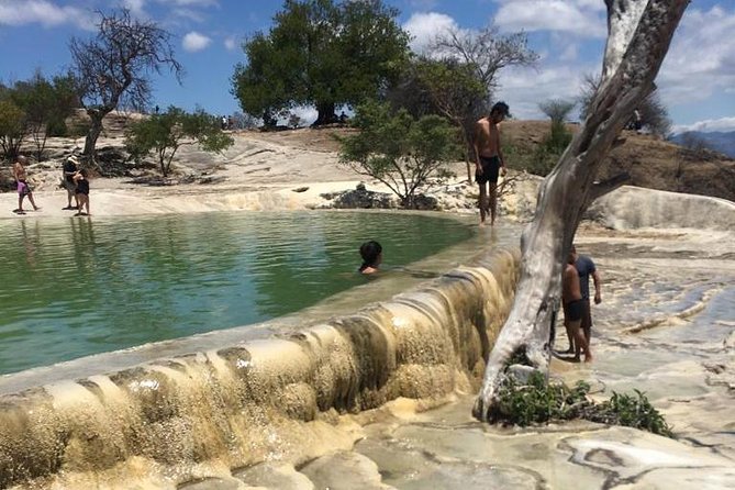 Private Tour to Hierve el Agua, Mezcal Tasting, and Textiles - The driver role: comfort, navigation, and how to get the most out of them