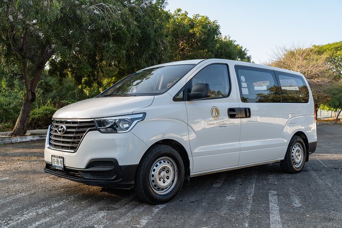 Private Transportation from Oaxaca Airport to Hotel - Finding Your Driver: Banner, Uniform, and the Fast Track to the Van