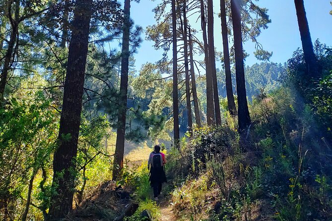 Sierra Norte Hike and Indigenous Village Full-Day Adventure - Oaxaca City start at Templo de San Matías Jalatlaco