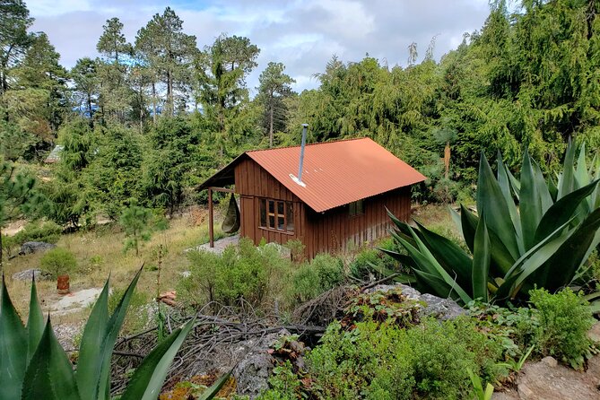 Sierra Norte Hike and Indigenous Village Full-Day Adventure - The 100+ meter suspension bridge: pay attention to the cost