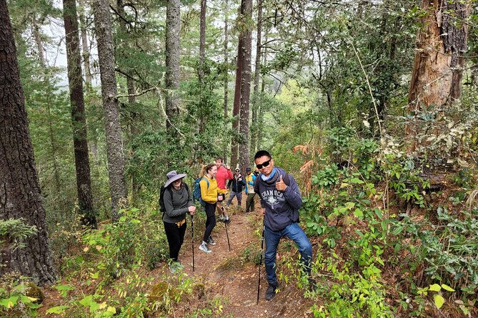 Sierra Norte Hike and Indigenous Village Full-Day Adventure - Indigenous village lunch: homemade mountain cuisine in a comedor