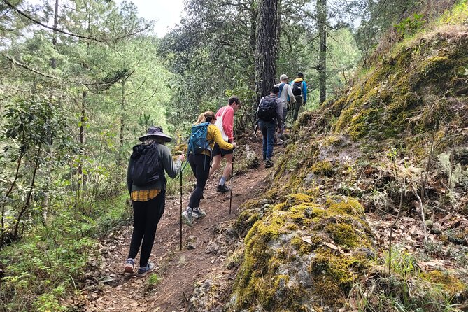 Sierra Norte Hike and Indigenous Village Full-Day Adventure - Getting back to Oaxaca City: end around 4:30–5 pm