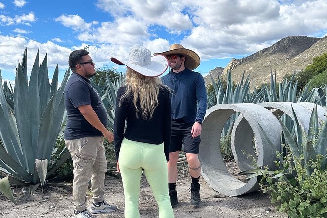 Small Group Boerve del Agua and Mezcal Tour from Oaxaca Centro - Budgeting Lunch at Hierve and Mitla: Two Buffets, Two Price Tags